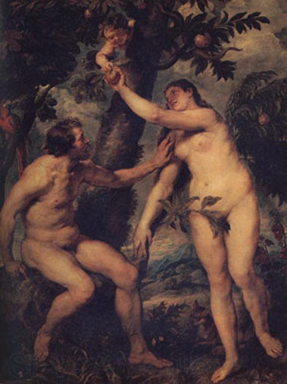 Peter Paul Rubens The Fall of Man (mk01) Spain oil painting art